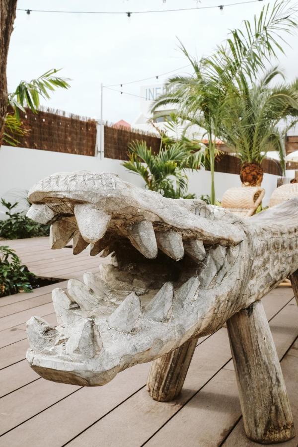 科拉雷侯 Dreamsea Surf House Fuerteventura旅舍 外观 照片